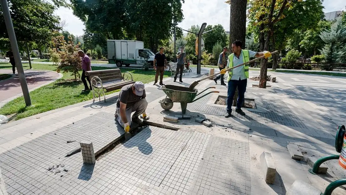 Hürriyet Parkına 55 Adet Tüplü Fidan Dikimi Yapıldı