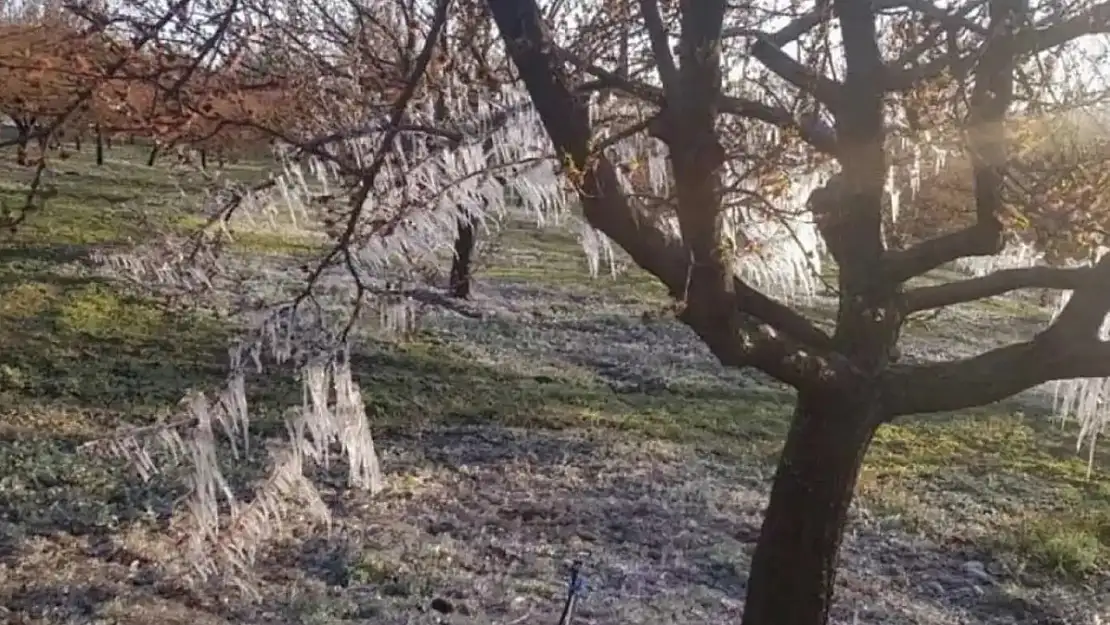 İç ve doğu kesimlerde zirai don tehlikesi sürüyor