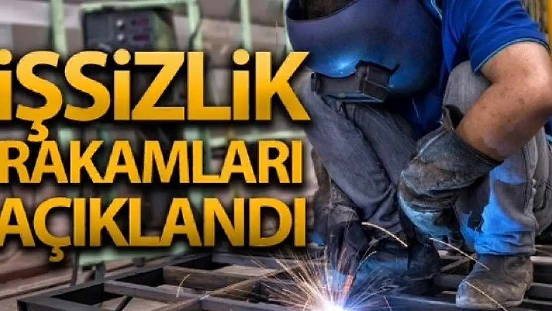 İşsizlik Oranı Eylül'de Yüzde 12,7 oldu