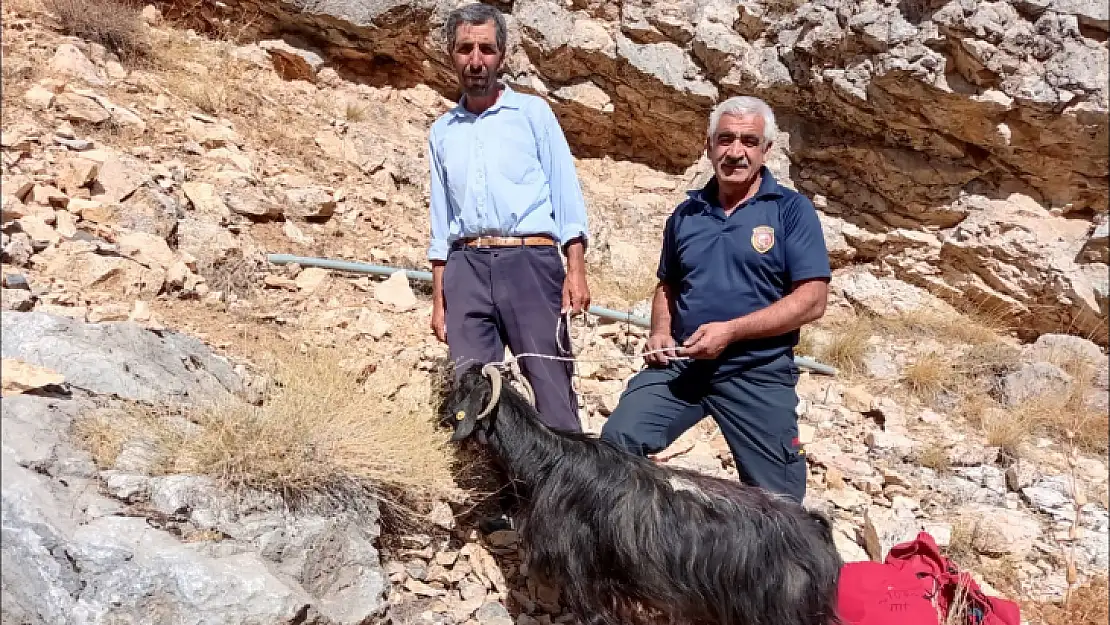 Kayalıklarda mahsur kalan keçiyi İtfaiye ekipleri kurtardı