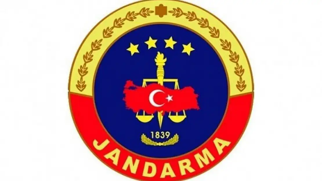 Kayıp Hayvanların Bulunması