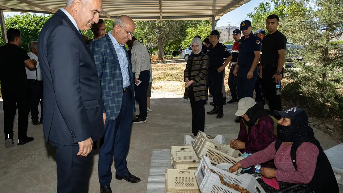 Kayısı Festivali 19-21 Temmuz Tarihleri Arasında Yapılacak