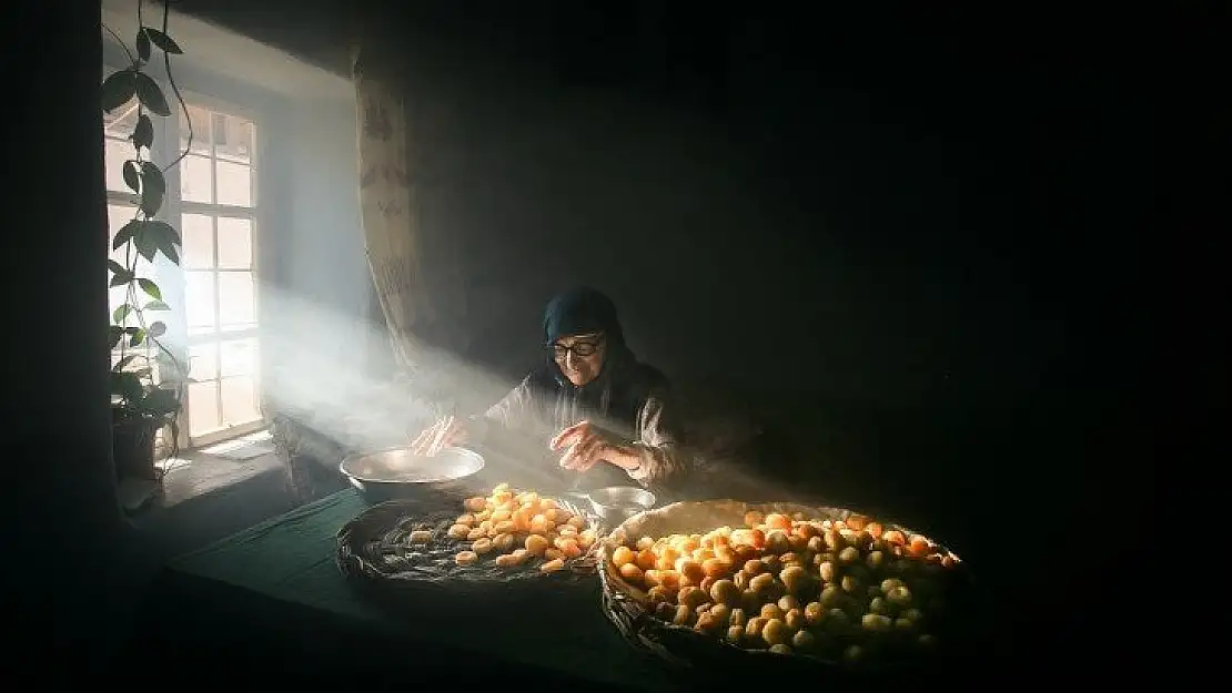 Kayısı Hasadı Fotoğraf Yarışması birinciliği Ordu'ya gitti