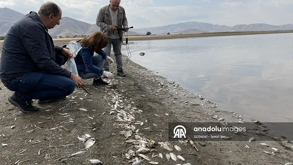 Keban Baraj gölündeki balık ölümleriyle ilgili inceleme başlatıldı