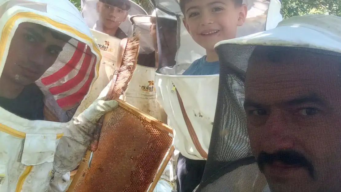 keven ve kekik ağırlıklı yaylalar, gezginci arıcılıkta çok verim sağlıyor