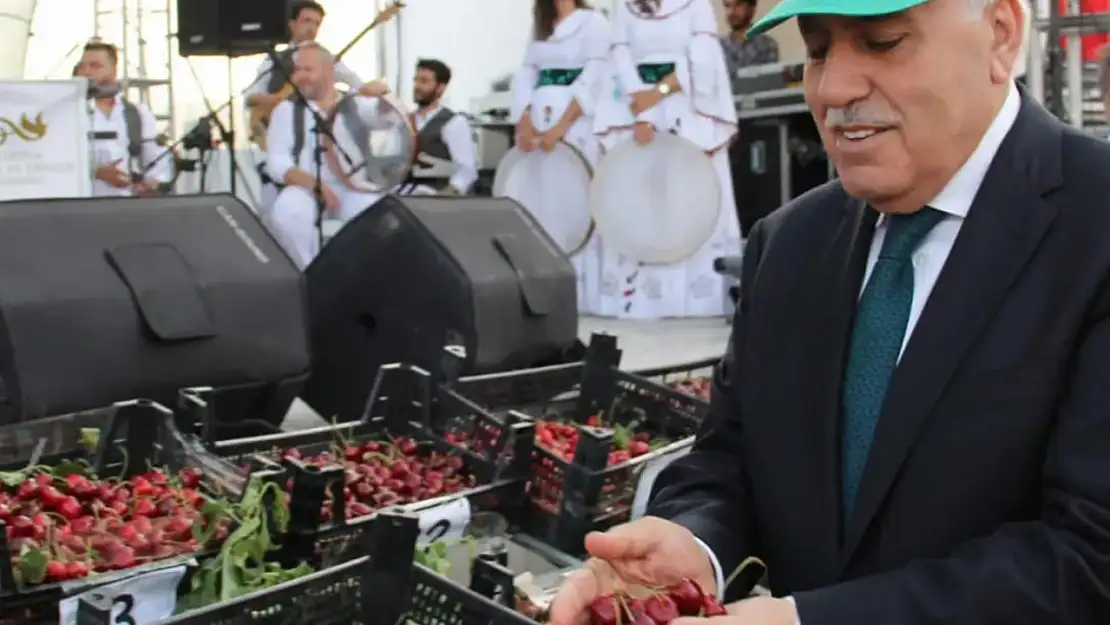 Kiraz Festivali'ne STK'lardan 'israf ve duyarsızlık' tepkisi