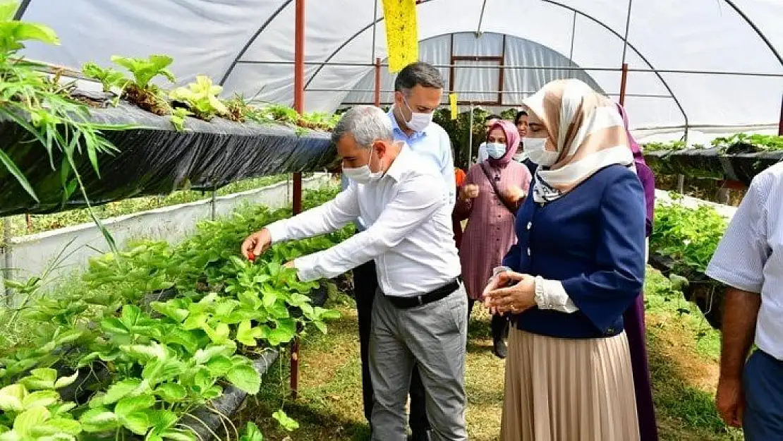 Kooperatifin Faaliyetleri, Tarımsal Kalkınma Hedeflerimize Katkı Sunacak