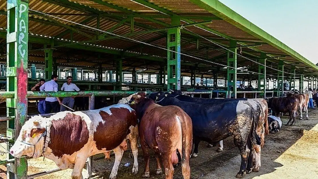 Koronovirüs tedbirleri: Malatya Hayvan Pazarı kapatıldı