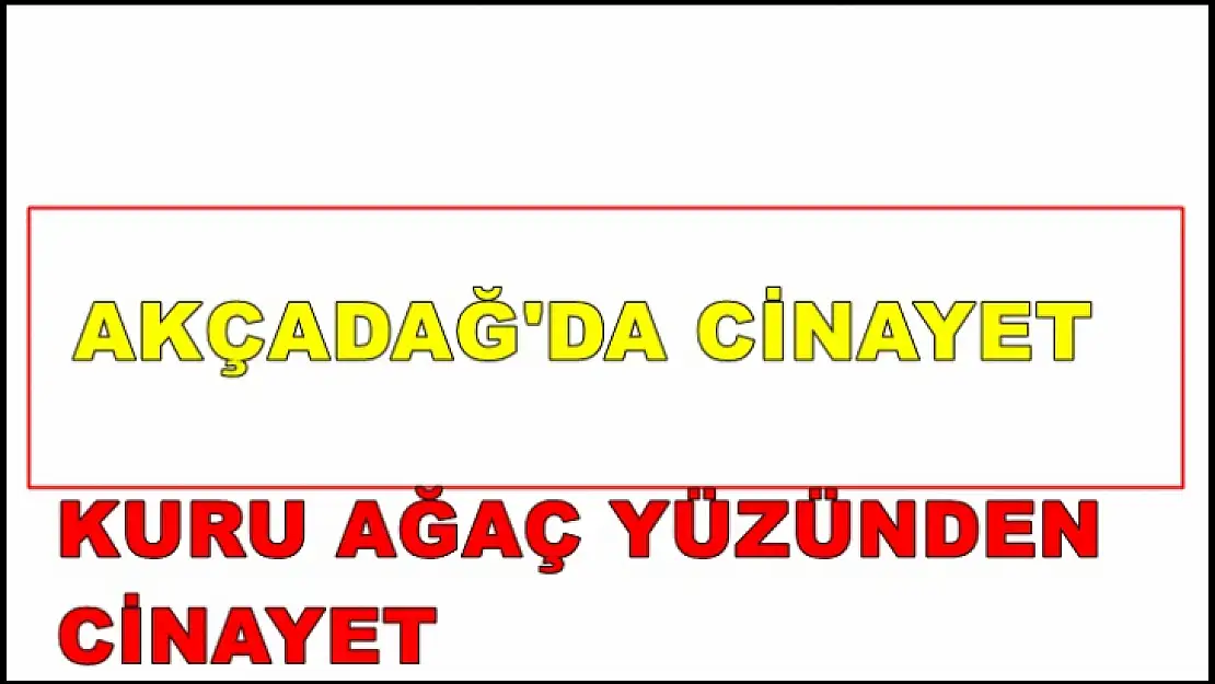 Kuru Ağaç yüzünden Cinayet İşlendi