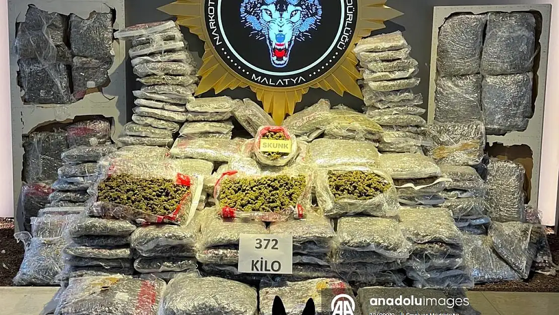 Malatya'da 372 kilogram skunk ele geçirildi