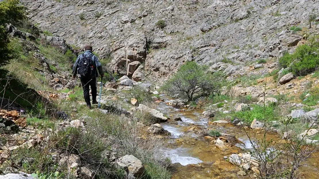 Malatya'da doğaseverlerden Beydağı eteklerine yürüyüş