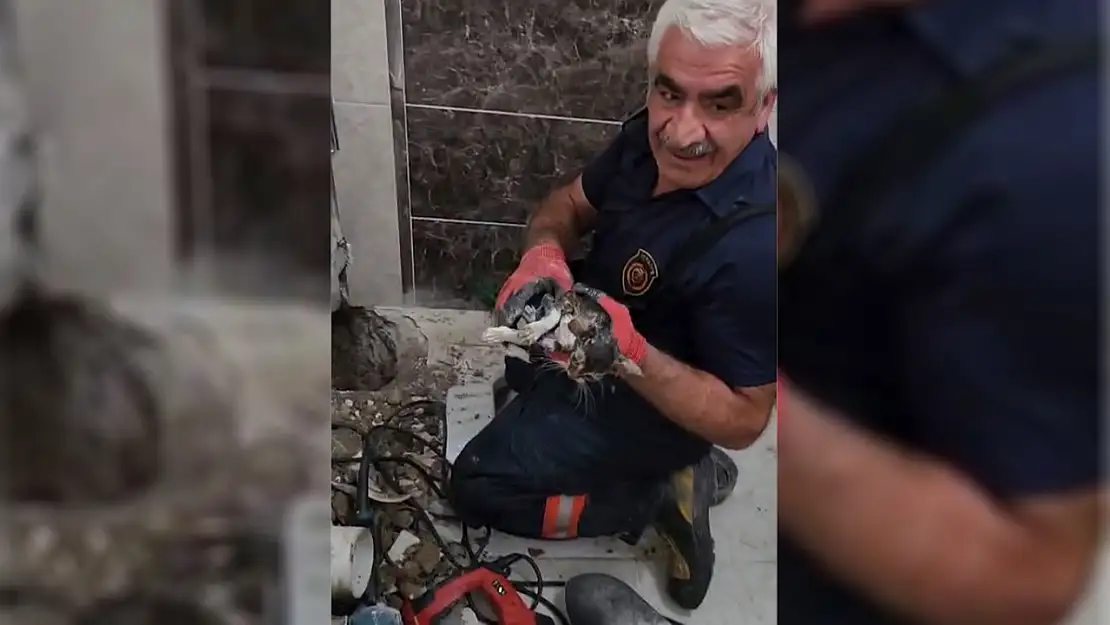 Malatya'da gider borusuna düşen yavru kedi bir saatlik çalışmayla kurtarıldı