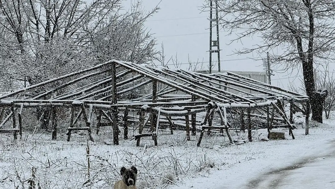 Malatya'da kar yağışı etkili oldu