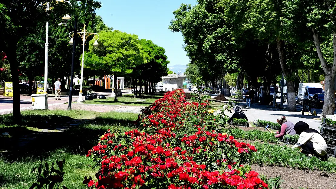 Malatya'da Peyzaj Çalışmaları