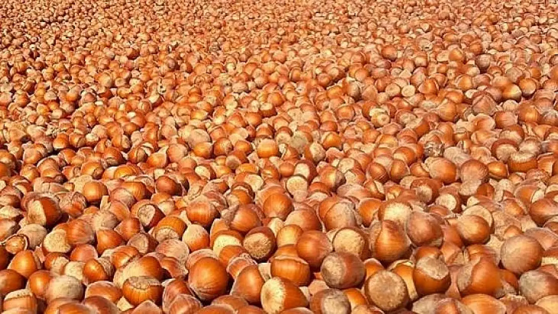 Fiyatları revize edin tepkiyi dindirin