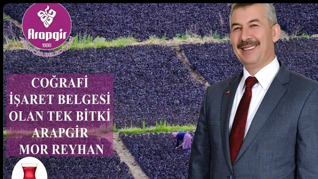 Arapgir'in Mor Reyhanı Coğrafi İşaret Belgesi Alan İlk Bitki Oldu