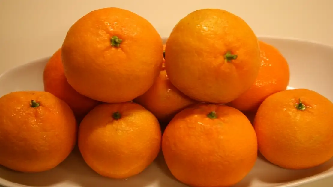 Satsuma mandalina ihracat yolcusu