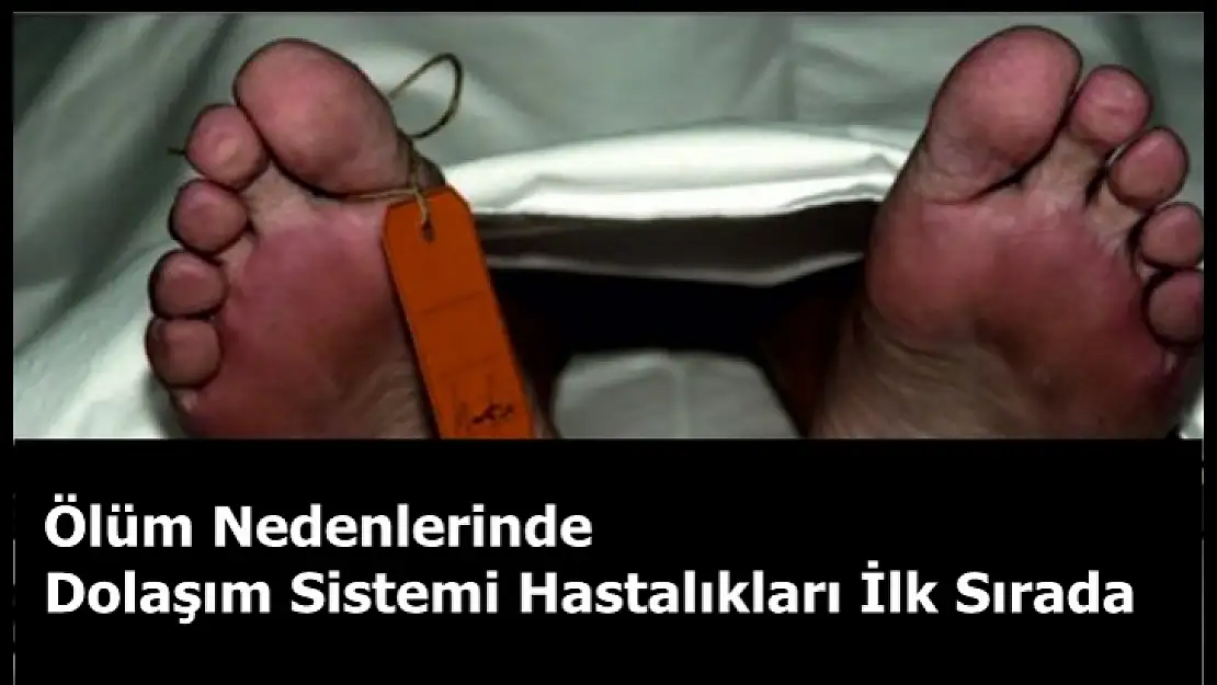 Ölüm Nedenlerinde  Dolaşım Sistemi Hastalıkları İlk Sırada