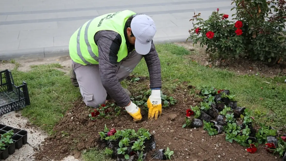 Bir Milyon Bitki Toprakla Buluşuyor