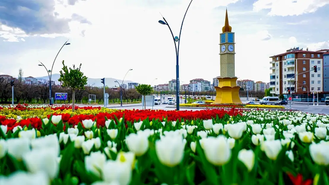 Malatya Lalelerle Renkli Bir Görünüme Kavuşuyor