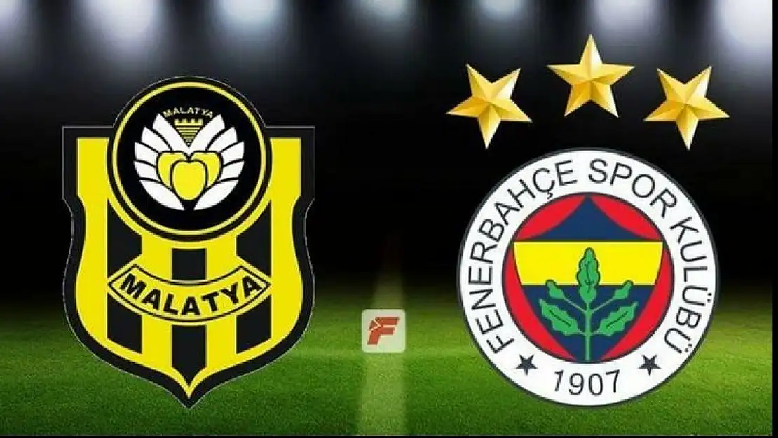 Kaplan Oynadı, Fenerbahce Kazandı