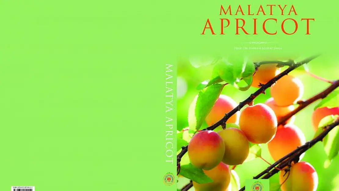 Malatya Kayısısı Kitabı 'Gourmand World Cookbook Awards 2023'de Finalde Yarışacak