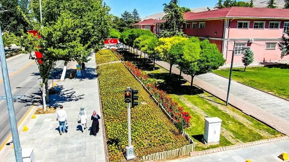 Malatya Parklarını Yazlık Çiçekler Süslüyor