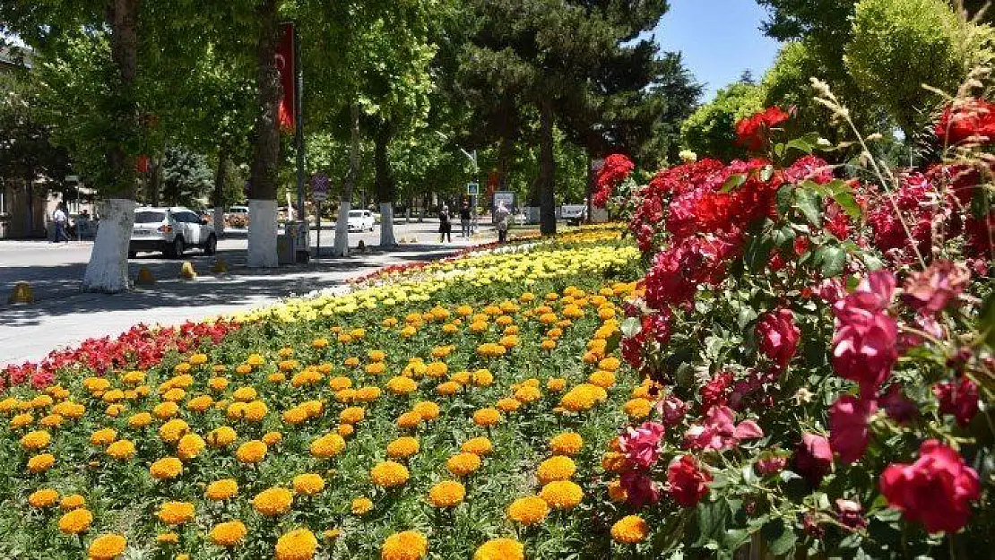 Malatya Rengârenk Görüntüye Bürünüyor