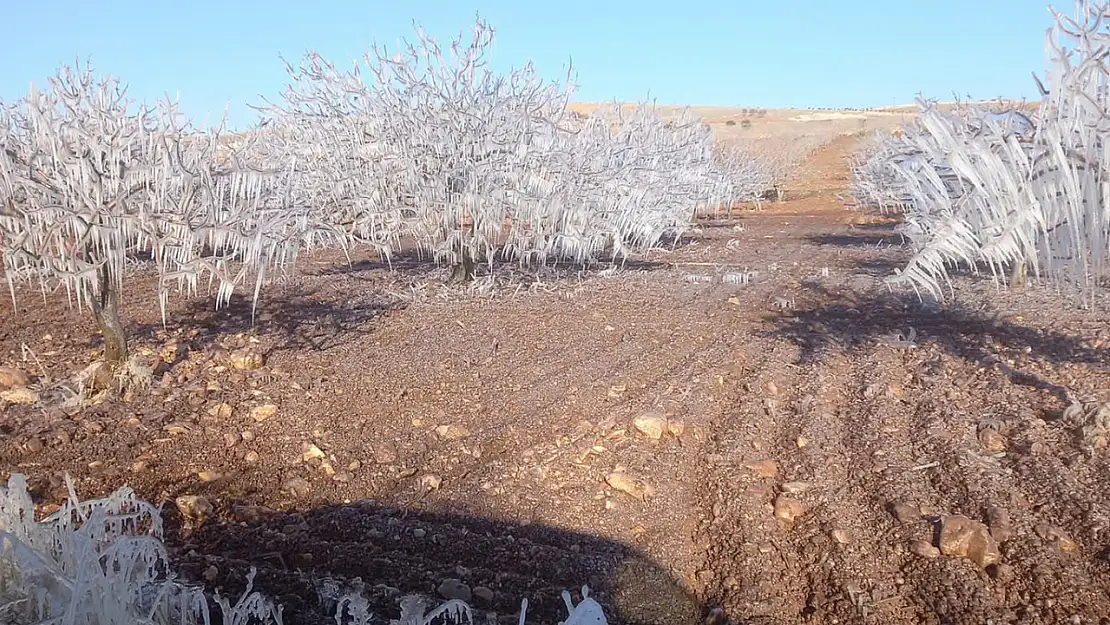 Meteorolojiden çiftçilere 'zirai don' uyarısı