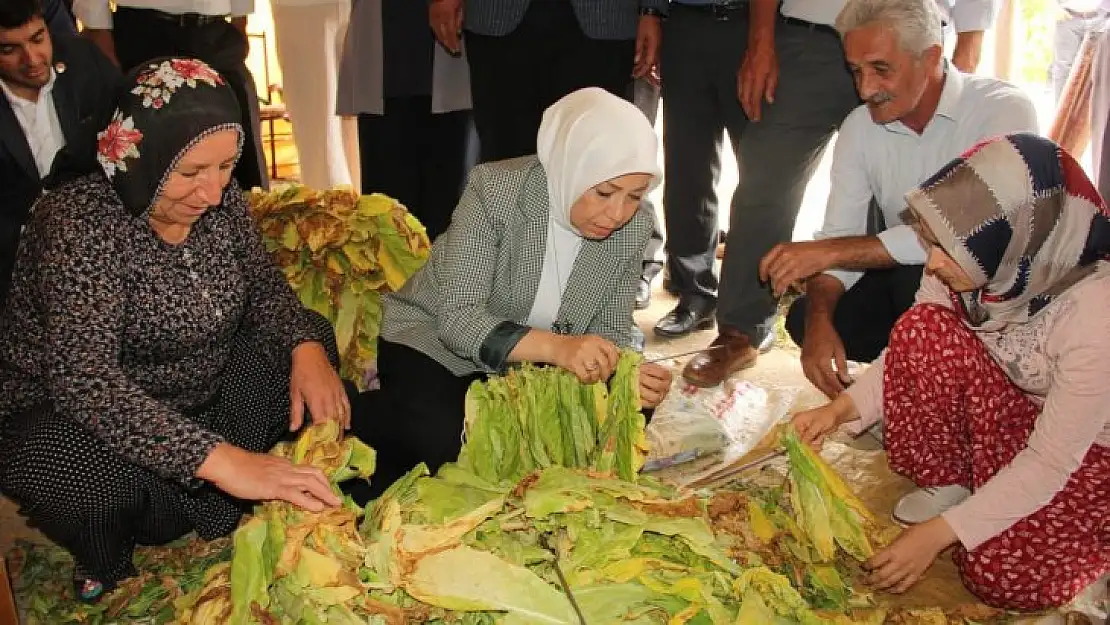 Milletvekili Çalık, çiftçilerin zararlarının tespiti için çalışmaların başlandığını söyledi.