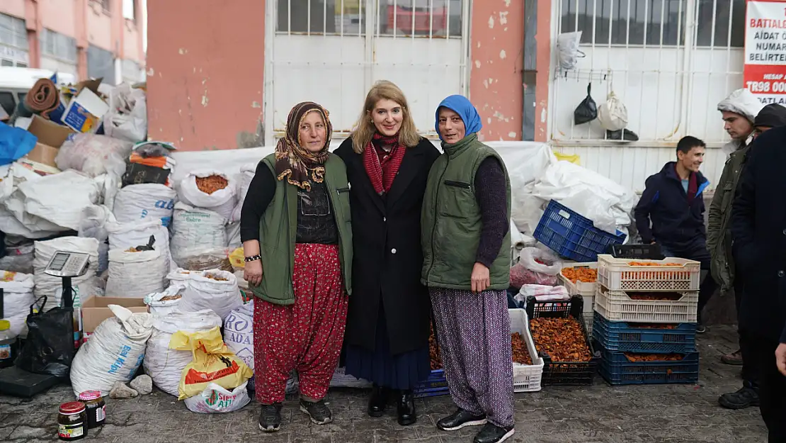 Milletvekili Ölmeztoprak'tan Kayısı Hamlesi