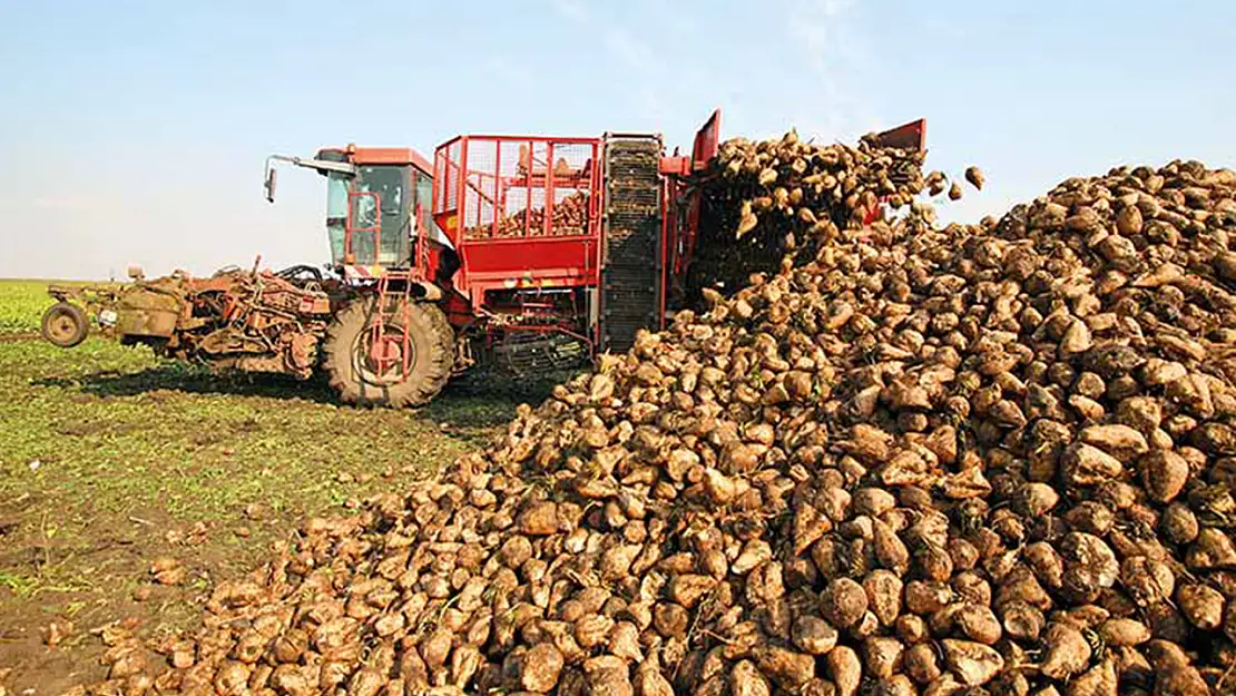 Pancar üreticilerine 2,5 milyar liralık ödeme