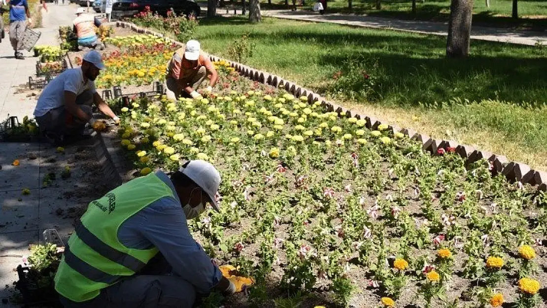 Park Bahçeler Dairesi Başkanlığı  yeşil alanlardaki çalışmalarını sürdürüyor