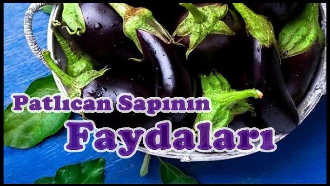 Patlıcan Sapının Bilinmeyen Faydaları