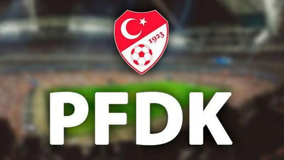 PFDK 'dan Damir Yüksel'e Ceza