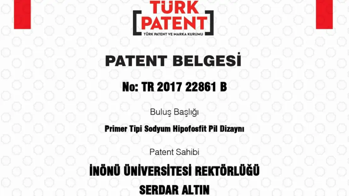 'Primer Tipi Sodyum Hipofosfit Pil Dizaynı' Başlıklı Patent Başvurusu Tescillendi