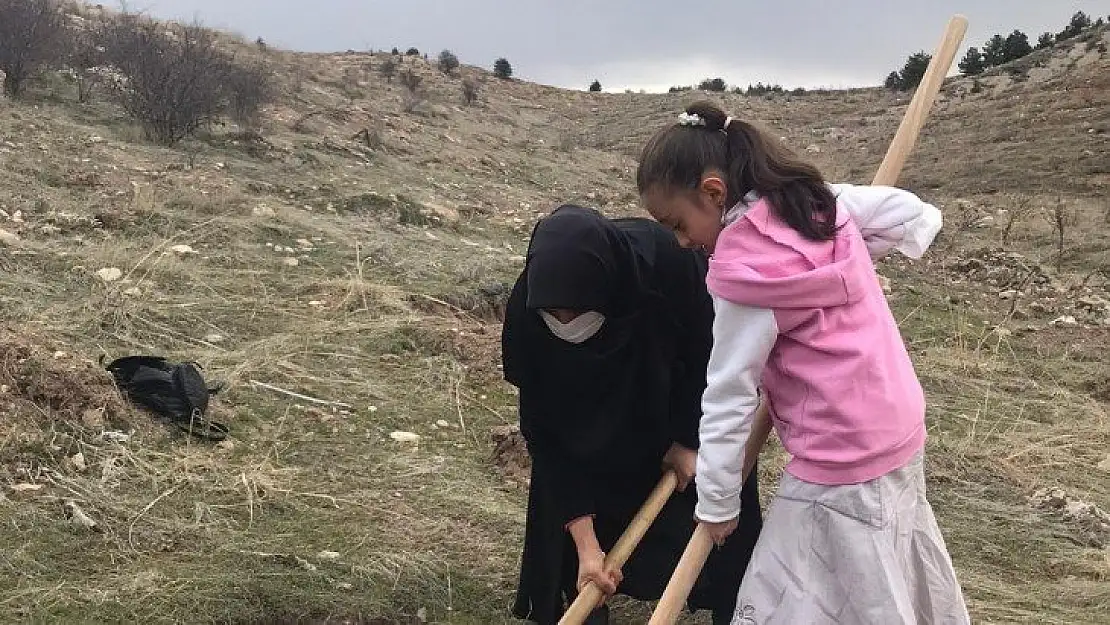 Saadet Partisi Kadın Kolları'ndan Fidan dikimi