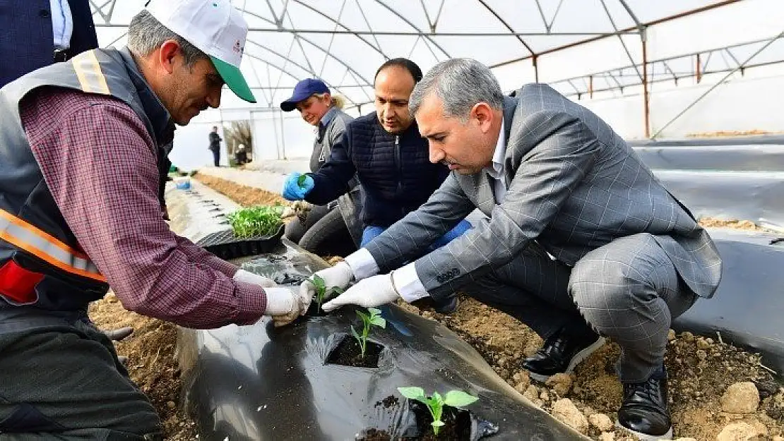 Sağlıklı Bir Hayat İçin Dengeli Beslenip, Doğal Ürünler Tüketelim