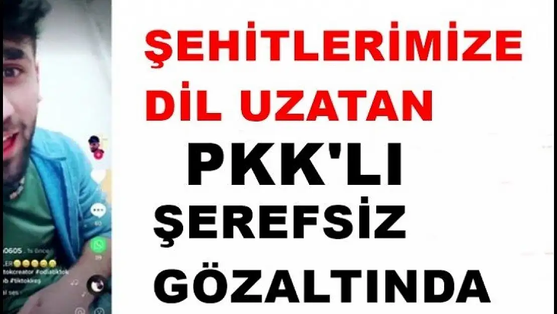 Şehitlerimize dil uzatan Şerefsiz PKK'lı Reşat Muaz gözaltına alındı