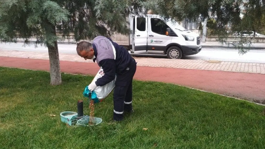 Sokak Hayvanlarına Mama Bırakıldı