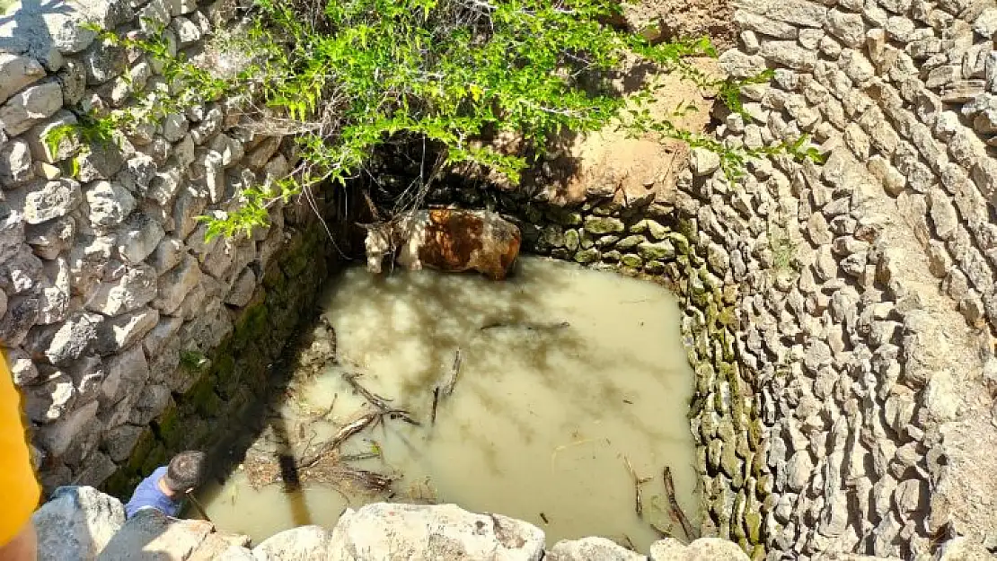 Su Kuyusuna Düşen İnek'i Malatya İtfaiyesi kurtardı