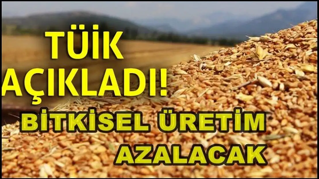 Tahıllar ve diğer bitkisel ürünler ile sebzelerin bir önceki yıla göre azalacağı tahmin edildi