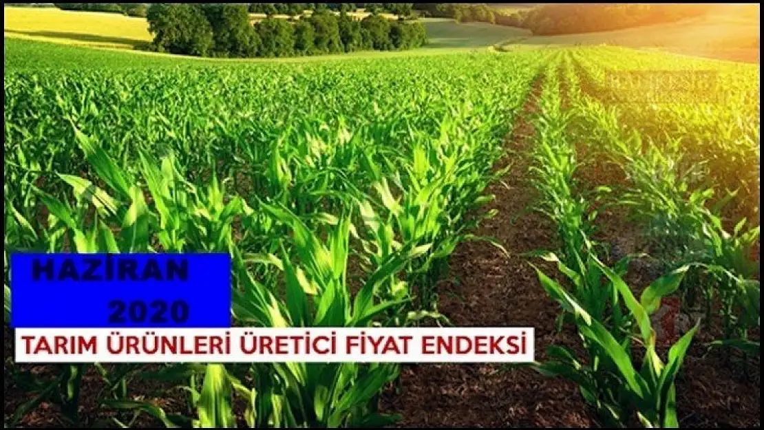 Tarım Ürünleri Üretici Fiyat Endeksi açıklandı