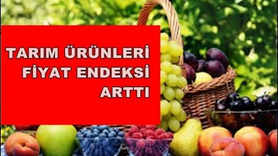 Tarım ürünleri üretici fiyat endeksi arttı
