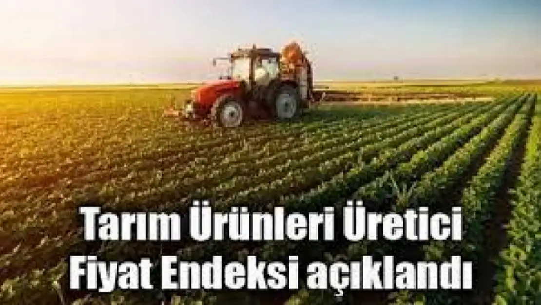 Tarım ürünleri üretici fiyat endeksi (Tarım-ÜFE) yıllık yüzde 62,48, aylık yüzde 8,03 arttı