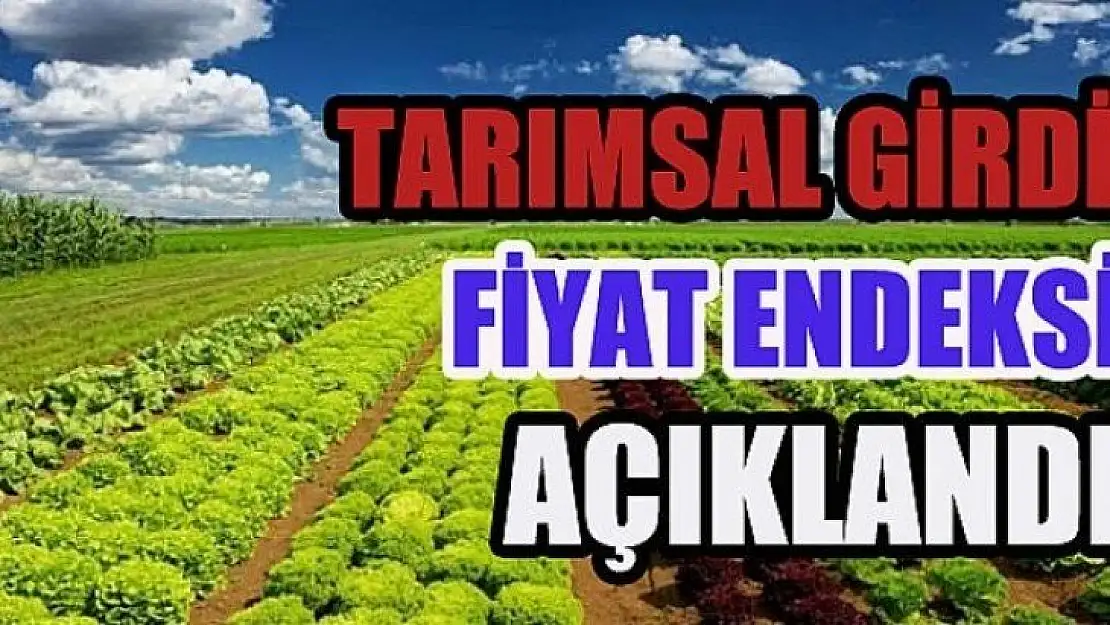 Tarımsal Girdi Fiyat Endeksi