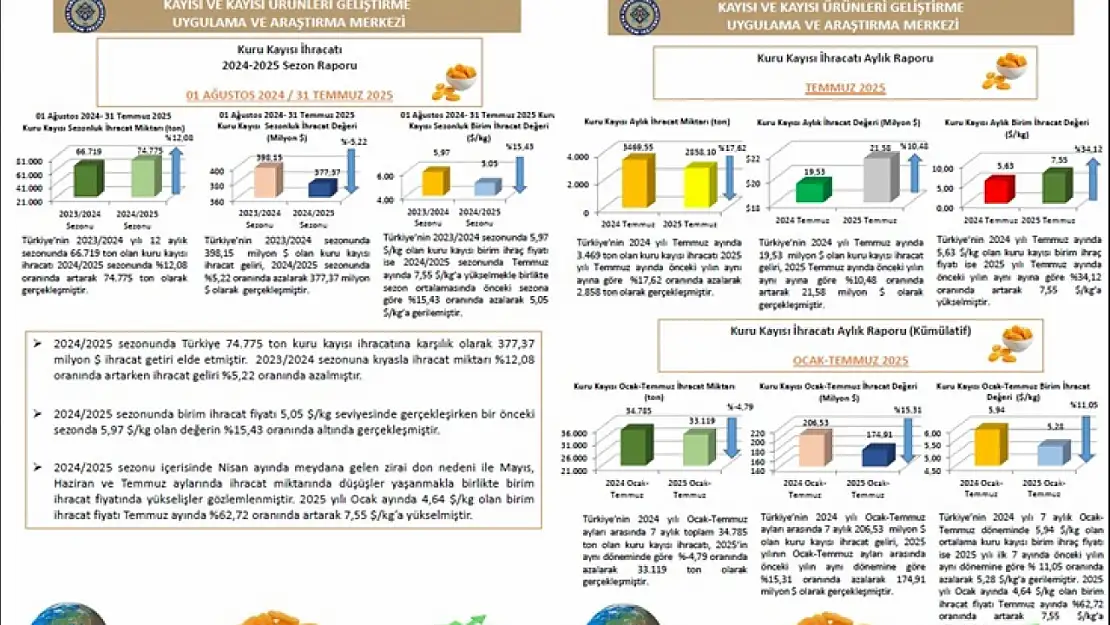 Temmuz 2025 dönemine ait Kuru Kayısı Dış Ticaret Raporu Yayımlandı