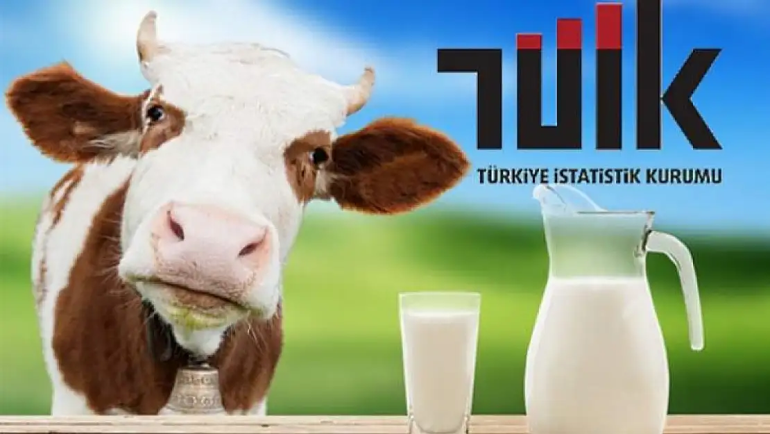 Ticari süt işletmelerince 867 bin 11 ton inek sütü toplandı