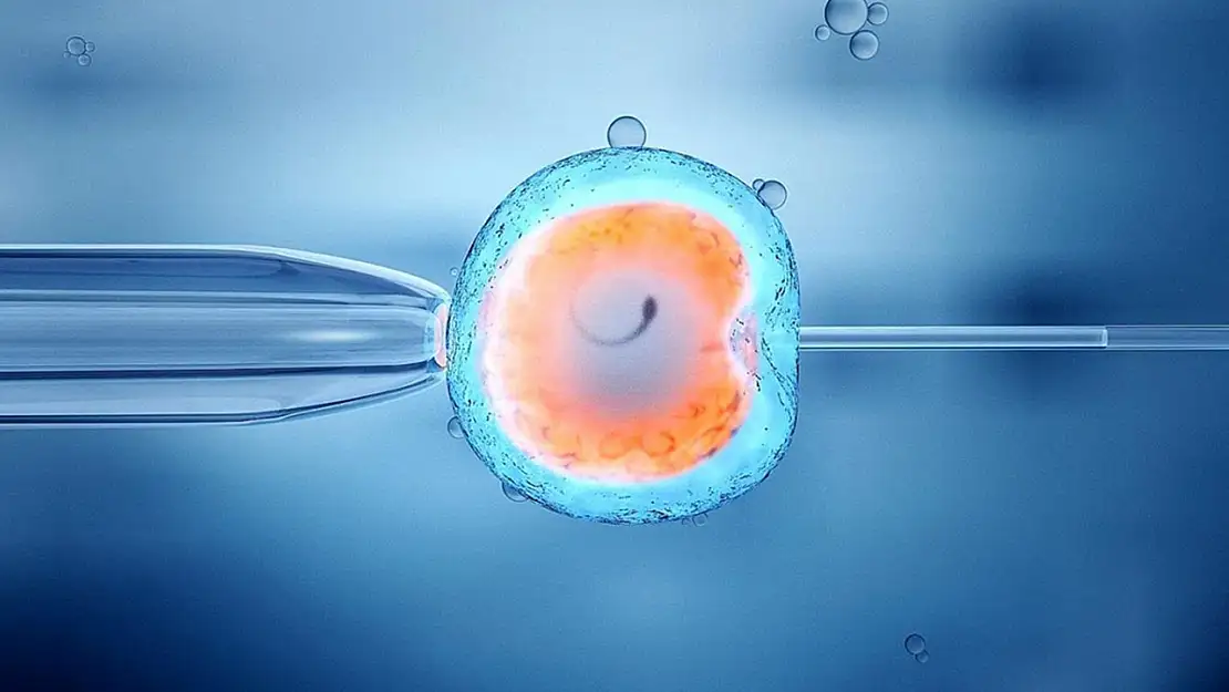 Tüp bebekte kaygıyı yönetmek anne baba olma şansını artırıyor