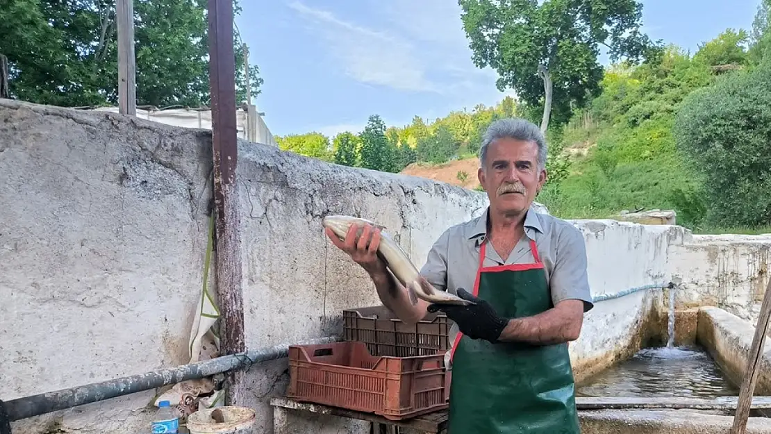 Türk Kızılaydan depremde işletmesi zarar gören balık üreticisine destek